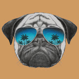 Dr_pugg90