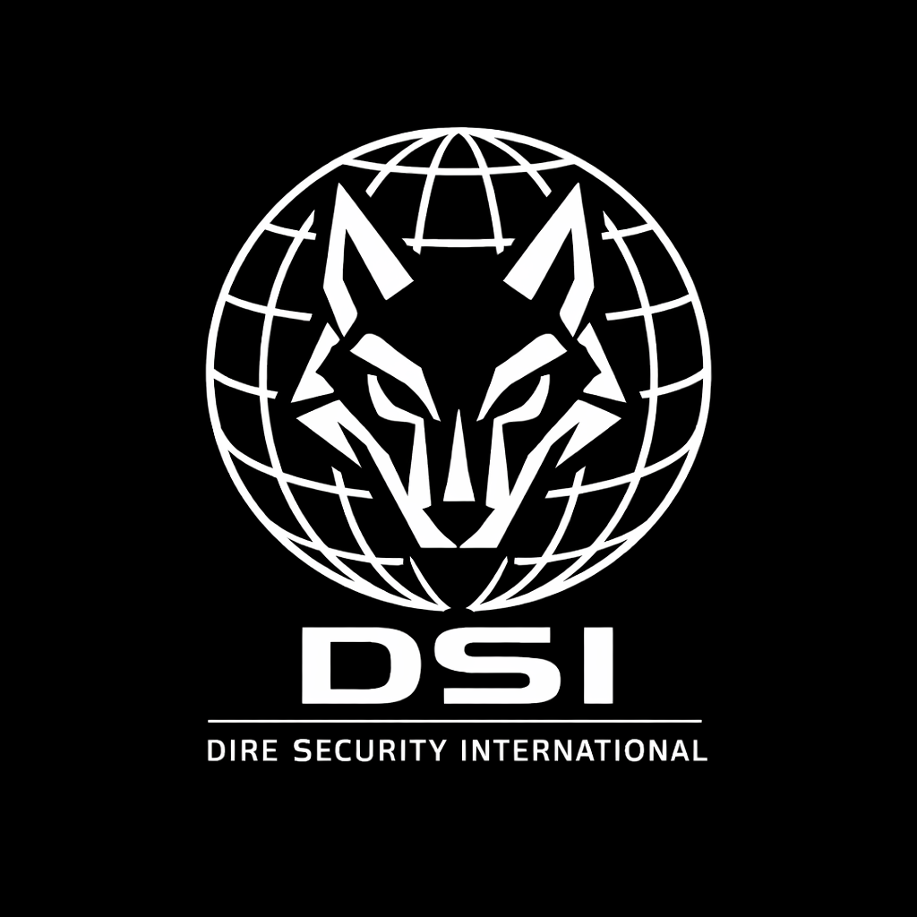 DSI Logo